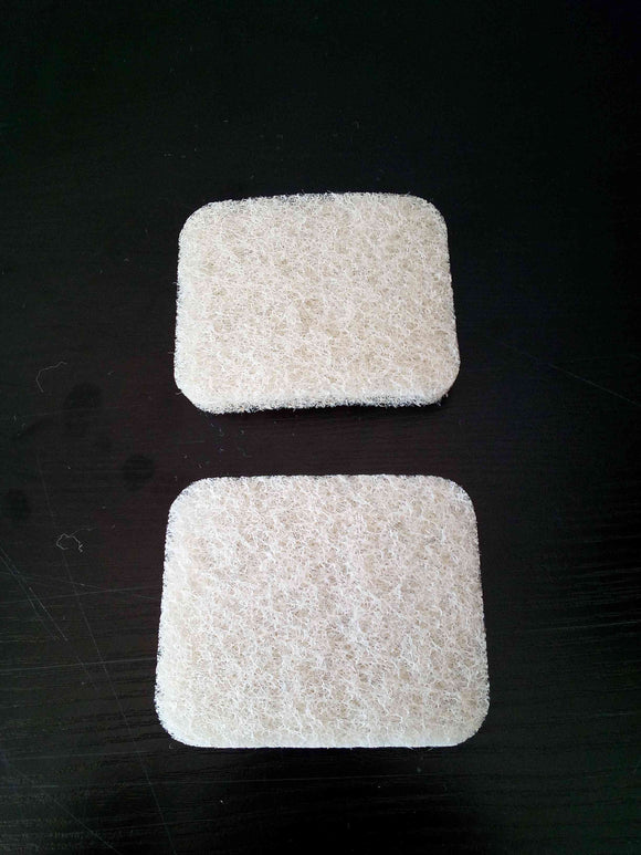 Lot de 2 filtres WP120